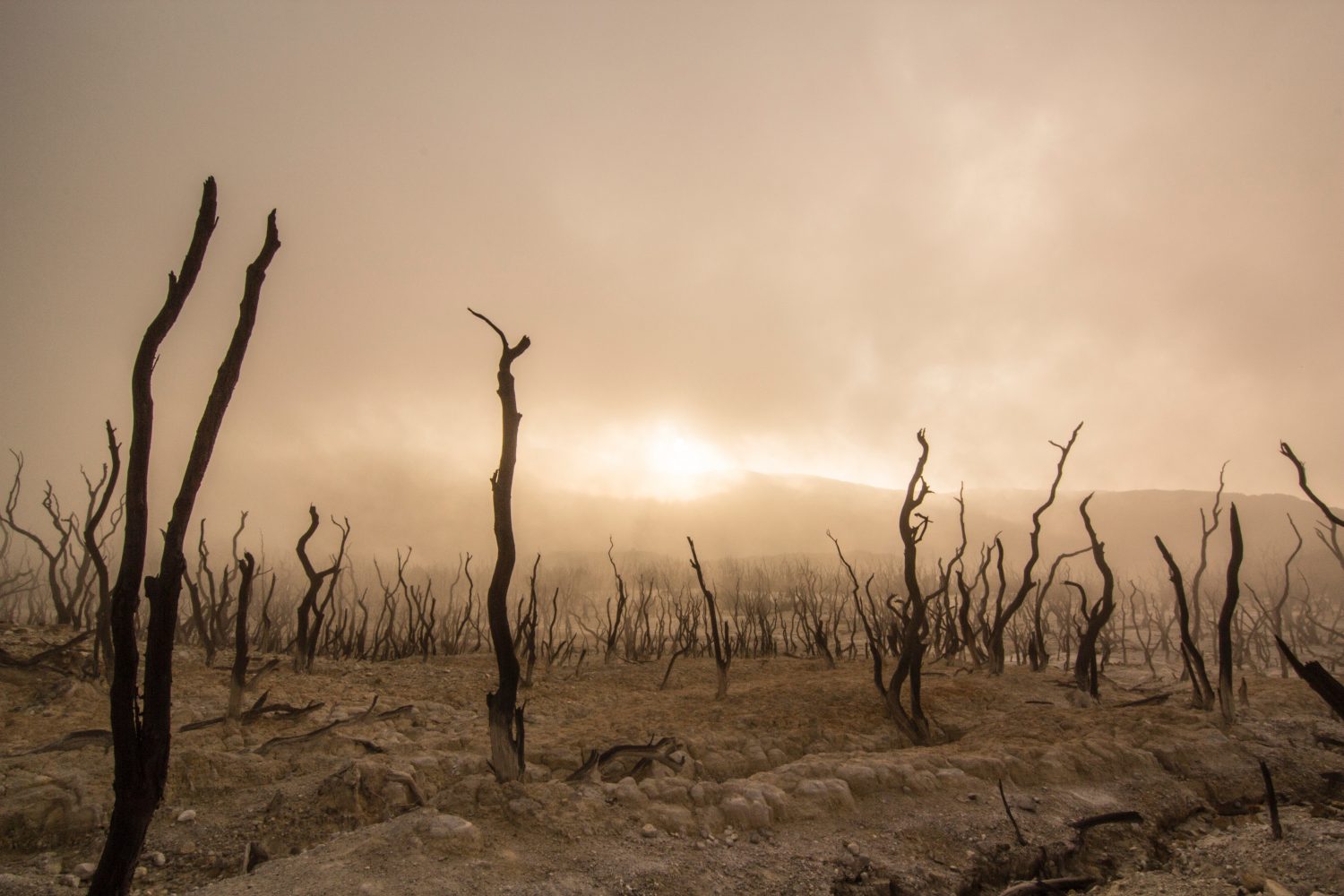 July 15: Day of Remembrance for Climate Disaster Victims